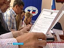 Новым председателем избиркома в Калининграде стала Елена Орлова