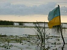 Военный эксперт назвал криком отчаяния заявление Зеленского о разрешении на удары по РФ