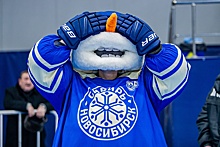 Стали известны зарплаты хоккеистов «Сибири» в новом сезоне
