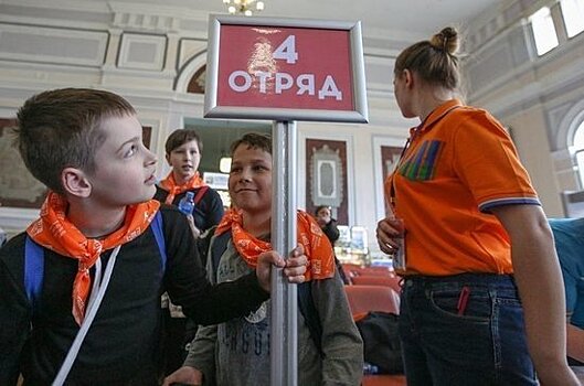 Детские лагеря лишились господдержки