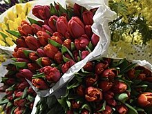 Москва онлайн понаблюдает за обстановкой на цветочном рынке перед 8 Марта