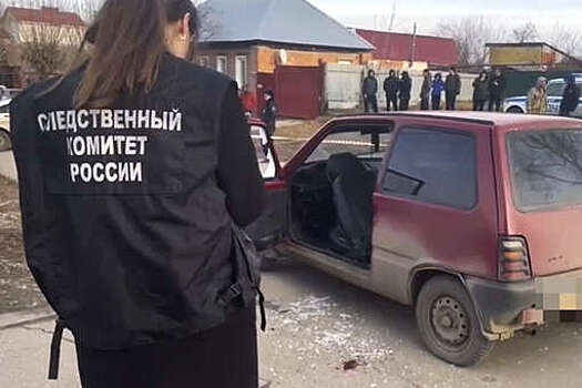 На видео попала "Ока", в которую восемь раз выстрелили в Саратовской области