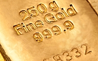 Рекордный объем конфискованного золота выставлен на торги в Японии