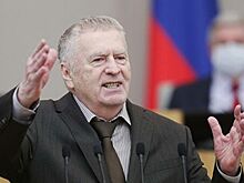 Жириновский назвал главные проблемы российского футбола