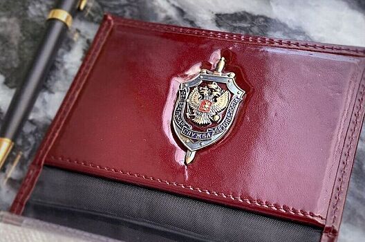 ФСБ: У Димитрова уничтожена группа украинских диверсантов