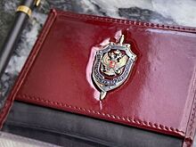 ФСБ: У Димитрова уничтожена группа украинских диверсантов