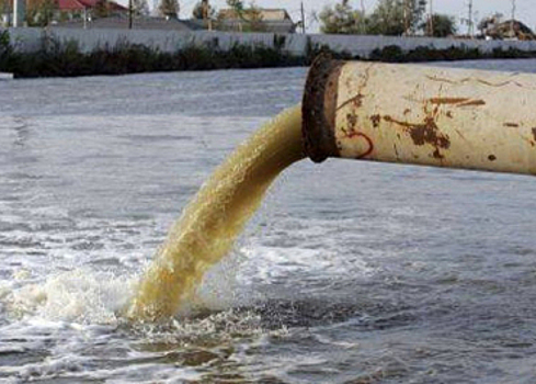 СК проверяет информацию о загрязнении водоема в Сергиево-Посадском районе