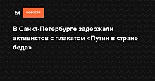 В Санкт-Петербурге задержали активистов с плакатом «Путин в стране беда»