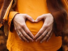 Госдума в третьем чтении приняла закон о запрете суррогатного материнства для иностранцев