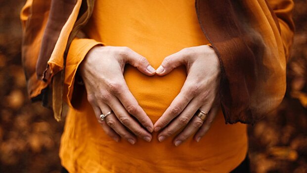 Госдума в третьем чтении приняла закон о запрете суррогатного материнства для иностранцев