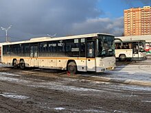 Подмосковных перевозчиков обязали информировать пассажиров о праве бесплатного проезда