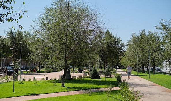 В Волгоградской области озеленяют территории в рамках нацпроекта