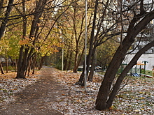 Нынешний ноябрь в Москве станет самым сухим за 25 лет