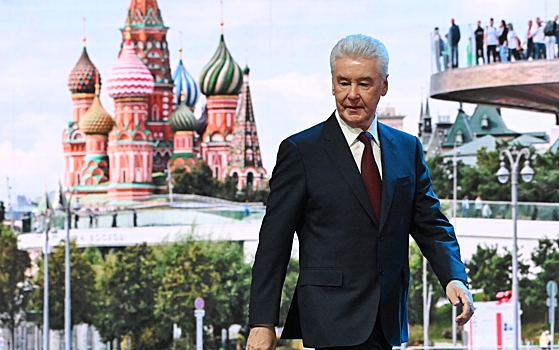 Собянин сообщил о кибератаках на систему электронного голосования в Москве
