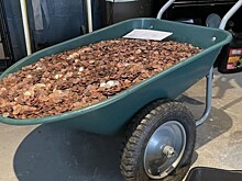 Уволенный из автосервиса американец получил вместо зарплаты 200 килограммов липких монет