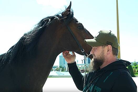 Кадыров описал своего коня после «заточения» в Европе словами «бока не лоснятся»