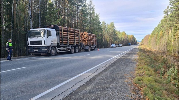 Мужчине оторвало ногу после наезда грузовика на свердловской трассе