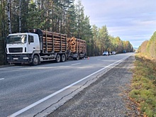 Мужчине оторвало ногу после наезда грузовика на свердловской трассе