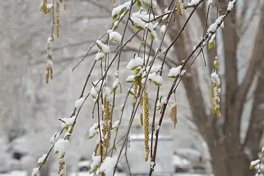 Народные приметы на 16 декабря: что нельзя делать в этот день