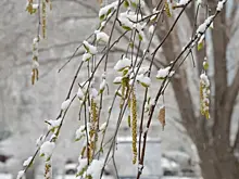 Народные приметы на 16 декабря: что нельзя делать в этот день