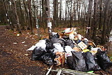 Свыше 600 несанкционированных навалов мусора нашли в Подмосковье
