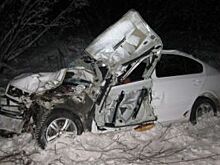 Водитель попал в реанимацию после аварии под Красноборском