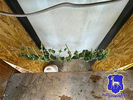У самарца нашли наркотеплицу в гараже