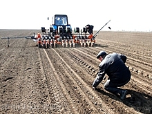 В Челябинской области посевная кампания идет с опережением прошлогодней