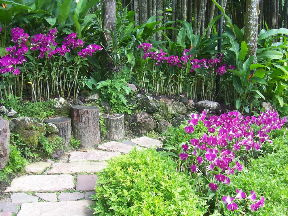 Ботанический Сад, Сингапур, Азия