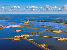 "Самотлорнефтегаз" выпустил в реки более 2 млн мальков в 2024 году