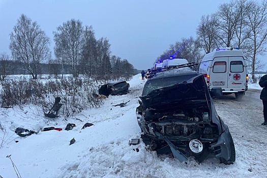 Двое детей погибли в ДТП в Калужской области