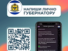Обратиться с вопросом к губернатору Владимиру Сальдо можно чрез чат-бот
