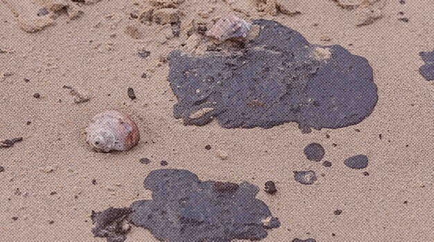 Летний турпоток в России упал на 10-13% из-за разлива нефти в Анапе