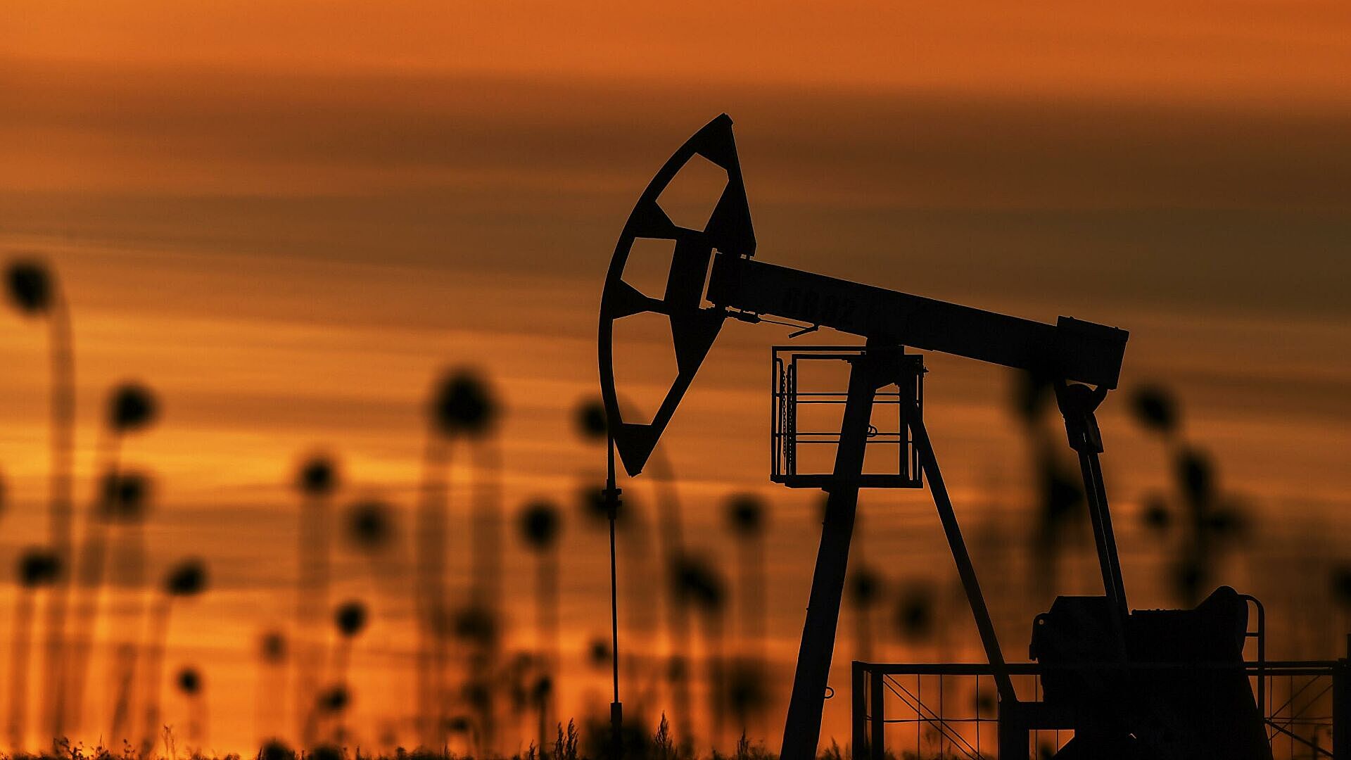 Шольц назвал срок отказа от нефти из РФ
