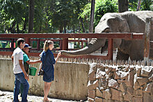 Алматинскому зоопарку 80 лет: надежда на будущее