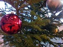 80 детей из Омской области поедут на Кремлёвскую ёлку