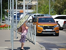 В Волгограде с 26 июля вступили в силу новые правила дорожного движения