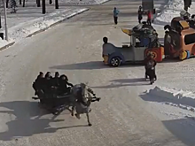 «Витраж спас жизнь людям»: директор уфимского планетария рассказал о ЧП с лошадью