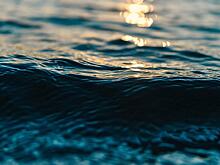 На берегу реки Самара легковушка задавила насмерть водителя