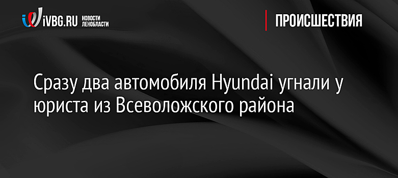 Сразу два автомобиля Hyundai угнали у юриста из Всеволожского района