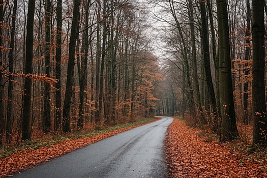 Основные дороги региона соответствуют нормативам — успехи дорожной реформы в Марий Эл