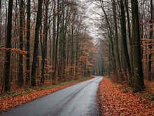 Основные дороги региона соответствуют нормативам — успехи дорожной реформы в Марий Эл