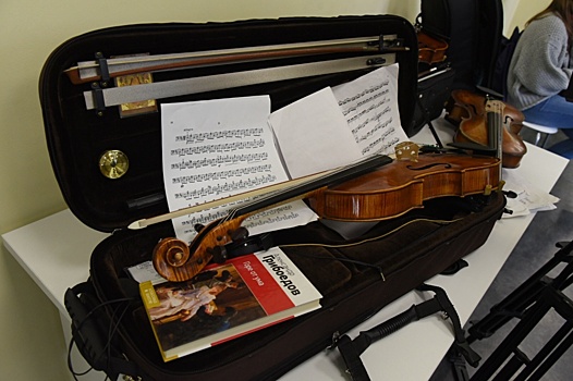 Концерт скрипки проведут в библиотеке №162