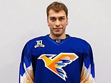 Михаил Анисин подписал контракт с «Металлургом-Жлобин» до конца сезона