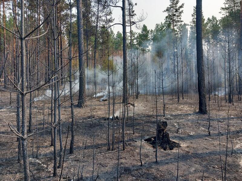 Муниципальные пожарные команды сформировали в регионе