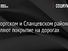 В Выборгском и Сланцевском районах обновляют покрытие на дорогах