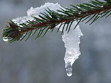 На предстоящей неделе пензенцам обещают плюсовую температуру днем