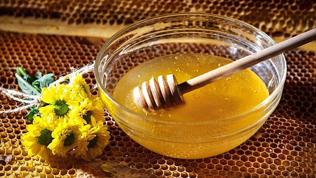 Вологодский мед и джем готовы покупать французы для сельских туристов