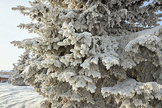 Синоптики пообещали перепад от -20°C до +7°C на неделе в Кузбассе