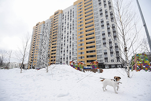 Переезд москвичей в первый дом в рамках реновации начнется с 26 февраля